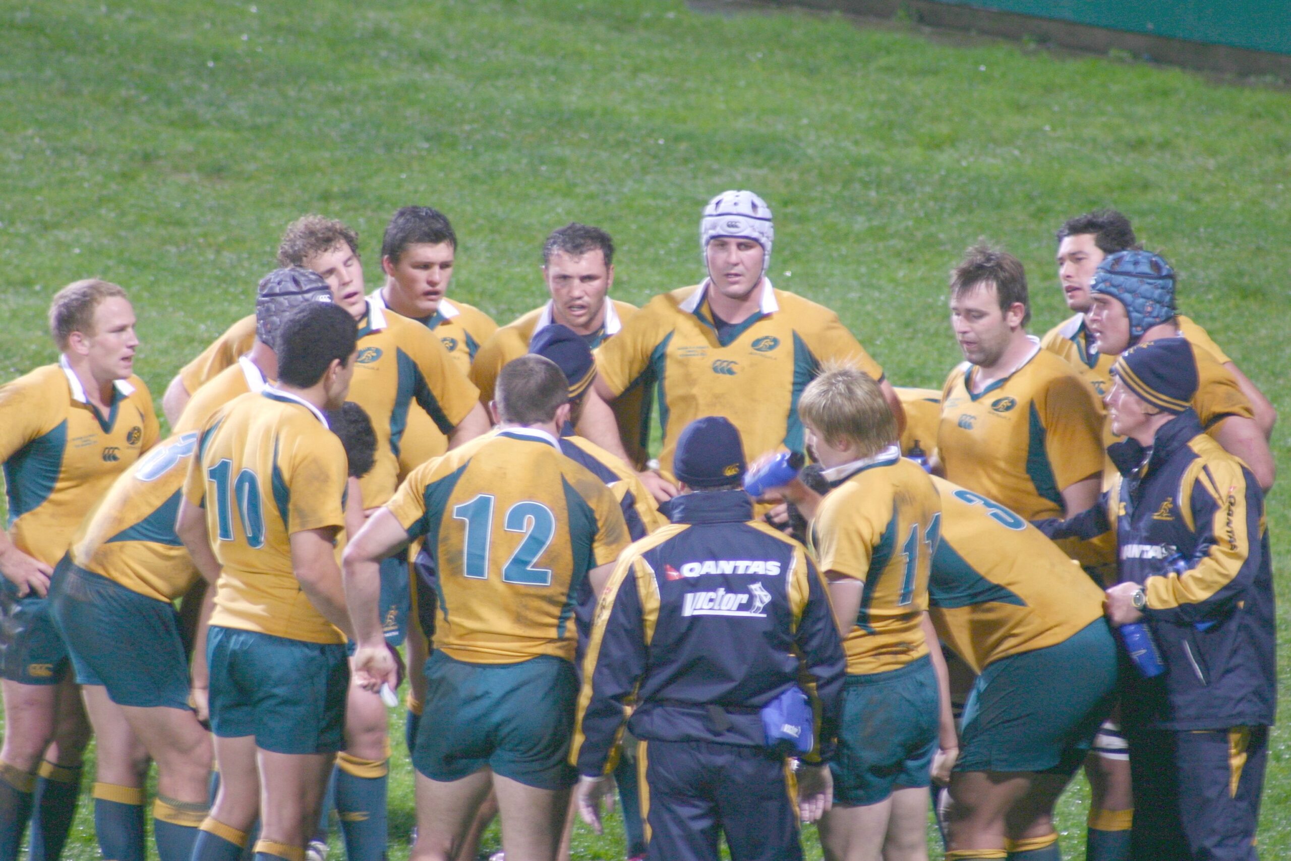 Bledisloe cup