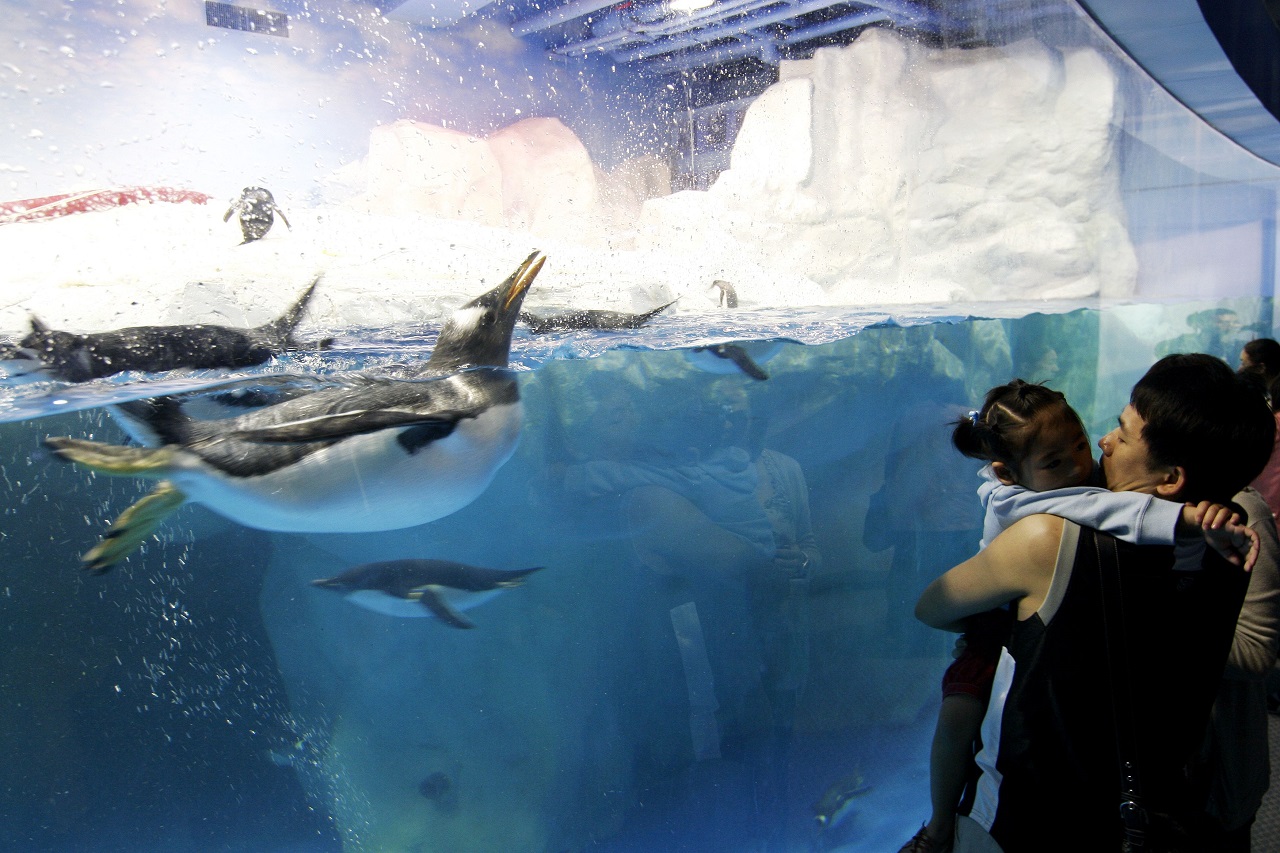 Southport destinations to visit with your family