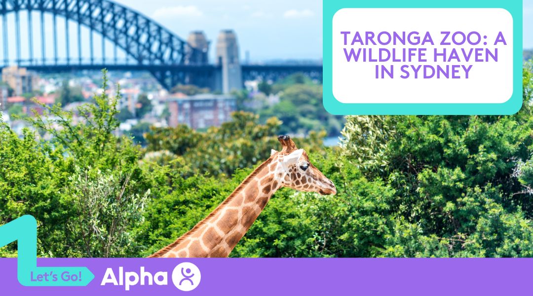 Taronga Zoo A Wildlife Haven in Sydney - blog