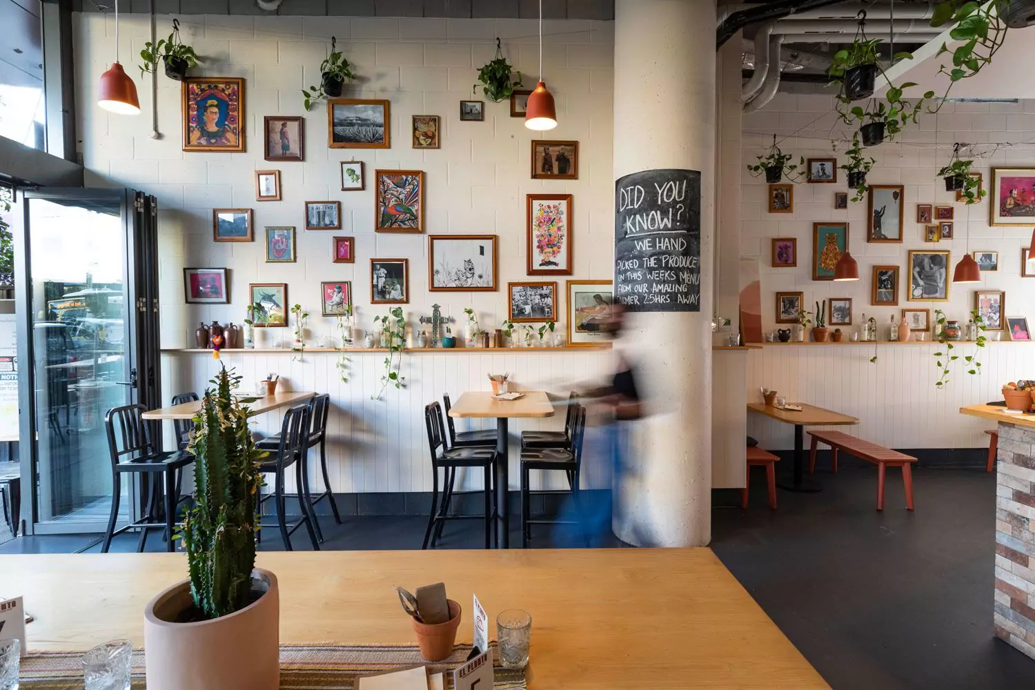 el-planta-interior-source-supplied-172510-2-67a951f92056c