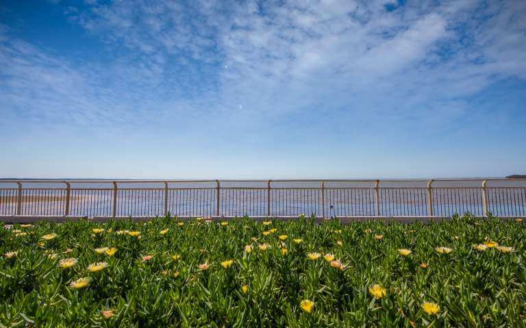 Deception_bay_cotton_tree_walk_view_bayside_visit_moreton_bay_region (1)