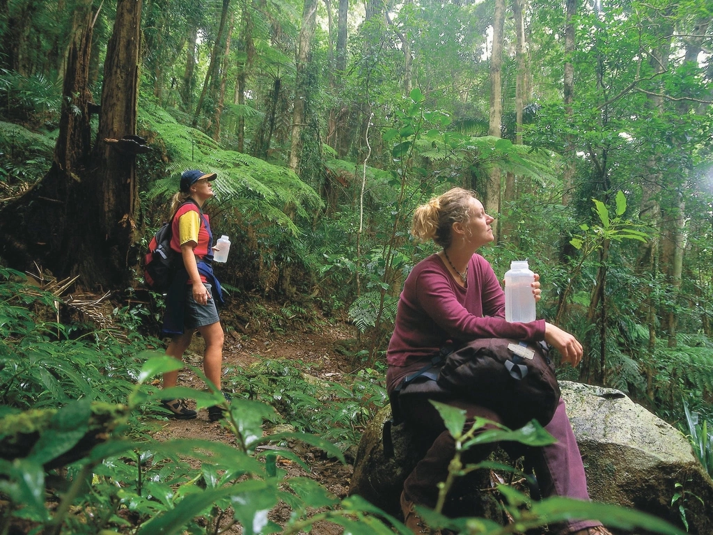 Binna Burra, Lamington National Park Clear Waters