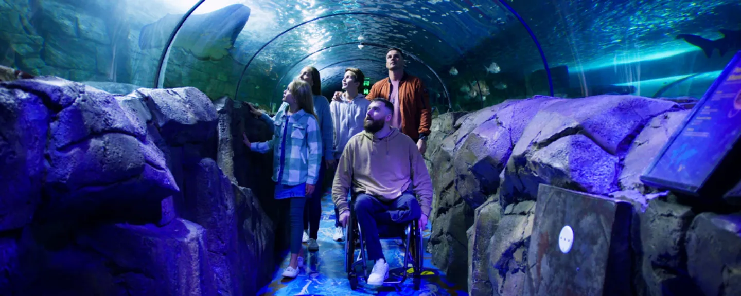 SEA-LIFE-Sydney-Aquarium-Shark-Valley