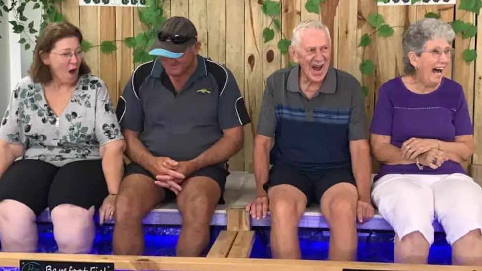 Barefoot Fish Surfers