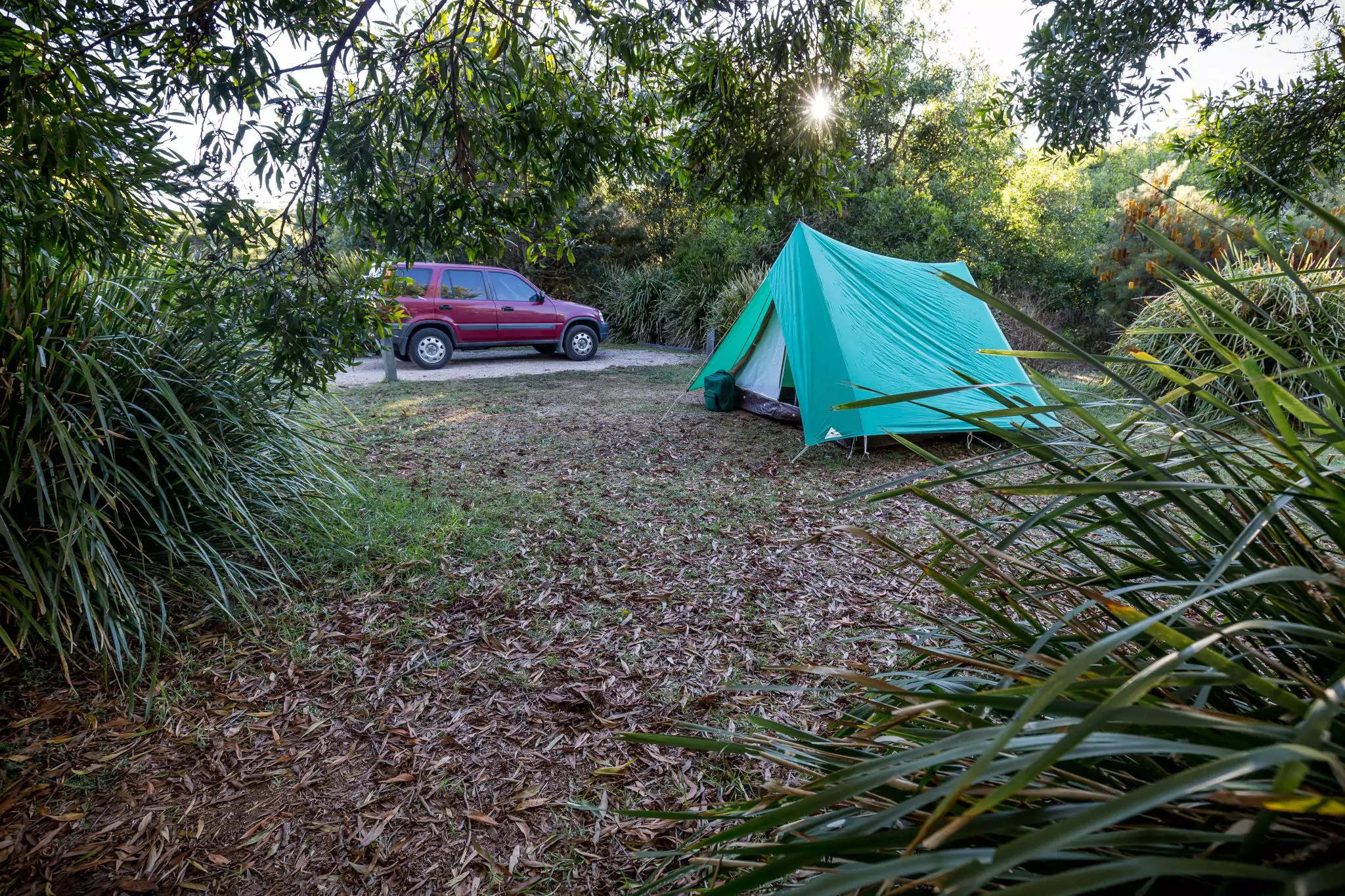 mount-cougal-springbrook-national-park-currumbin-valley