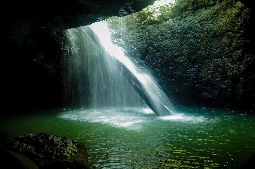 natural-bridge-circuit-springbrook-national-park-springbrook-green