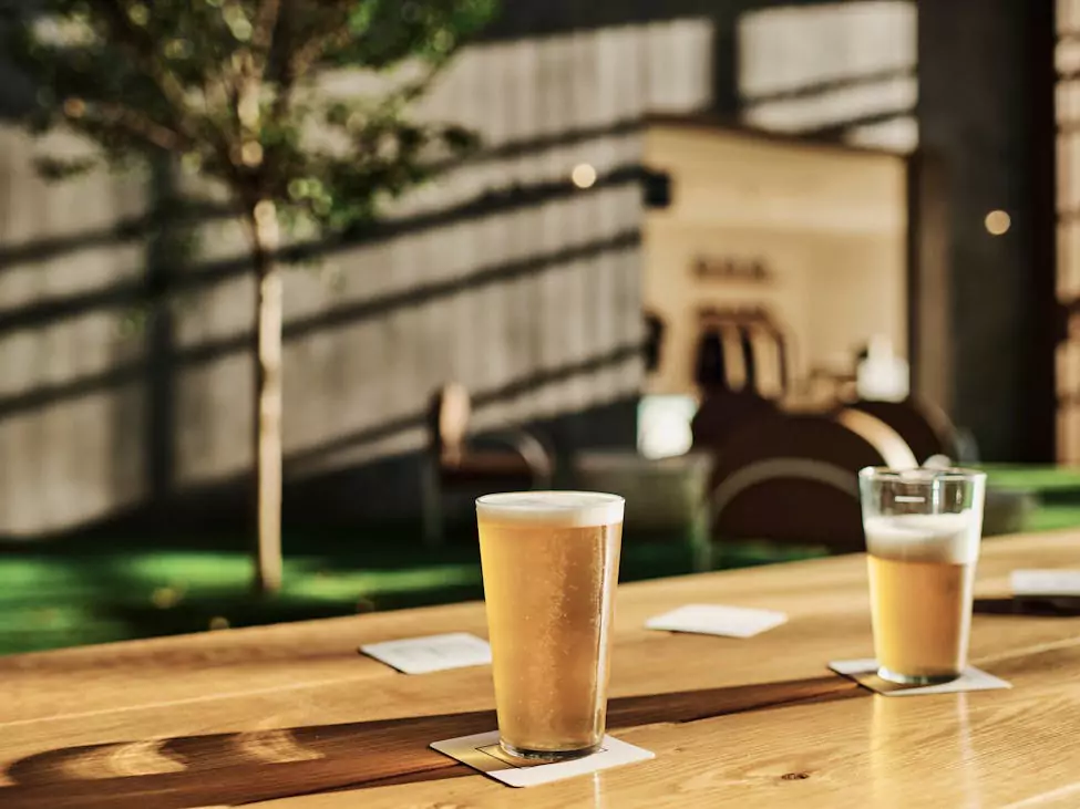 balter-brewing-coffee-glasses