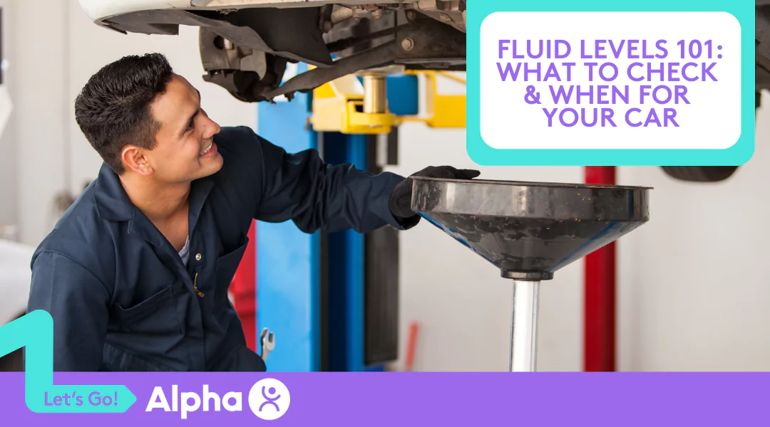 Fluid Levels 101 What to Check & When for Your Australian Car - Blog